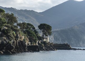 Ile kosztuje duży basen ogrodowy?